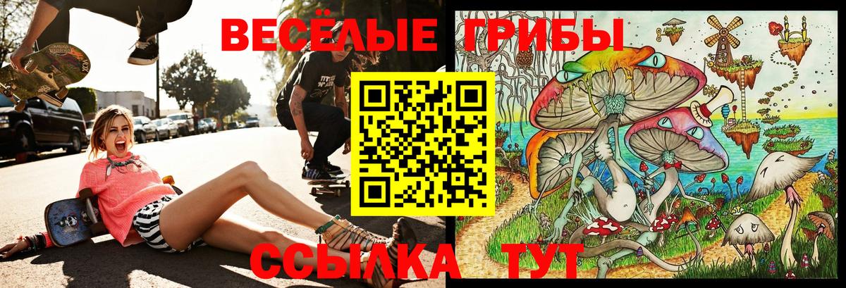 Галлюциногенные грибы ЛСД Железногорск