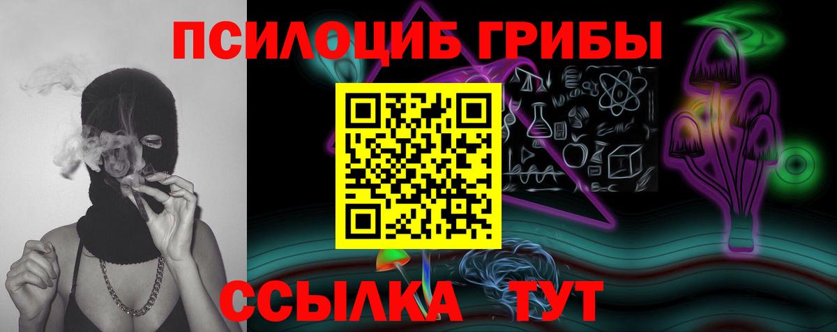 Галлюциногенные грибы Psilocybe  Вход с VPN  Железногорск 